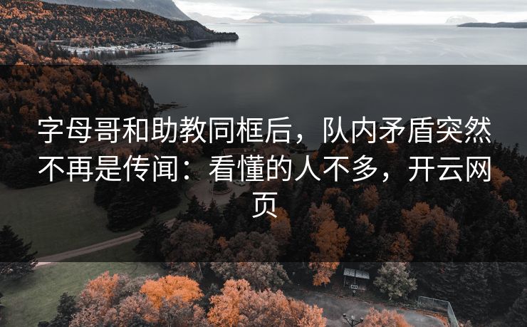 字母哥和助教同框后，队内矛盾突然不再是传闻：看懂的人不多，开云网页